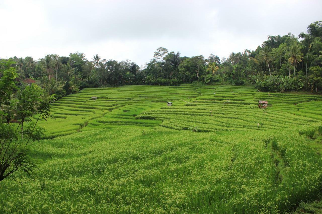 Saridevi Ecolodge Jatiluwih Exterior photo